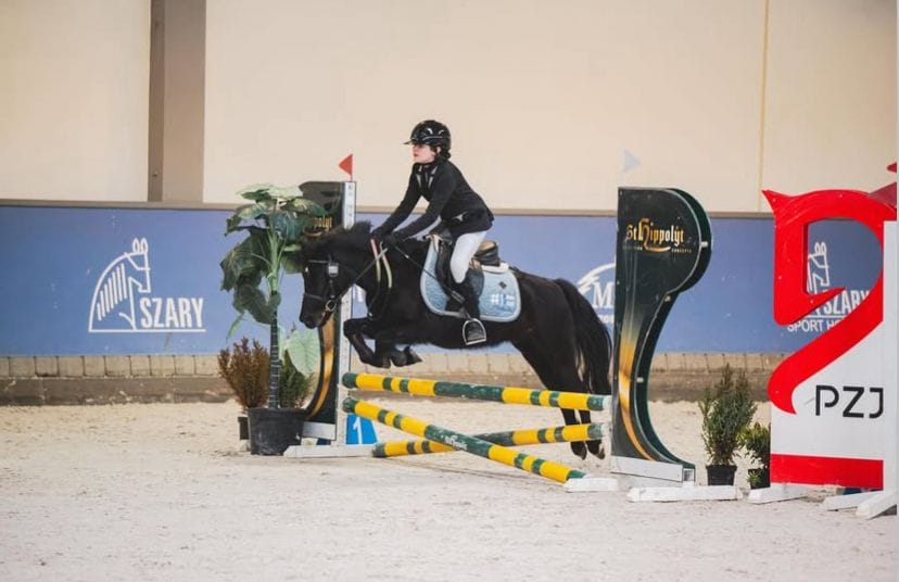 Jeździec skacze przez przeszkodę.